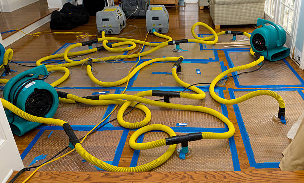 Professional Water Extraction technician working in Masonic Home, KY